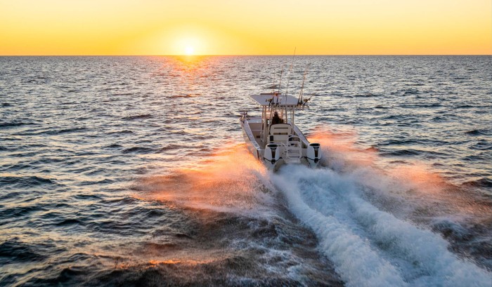 Programmed Fuel Injection (PGM-FI)