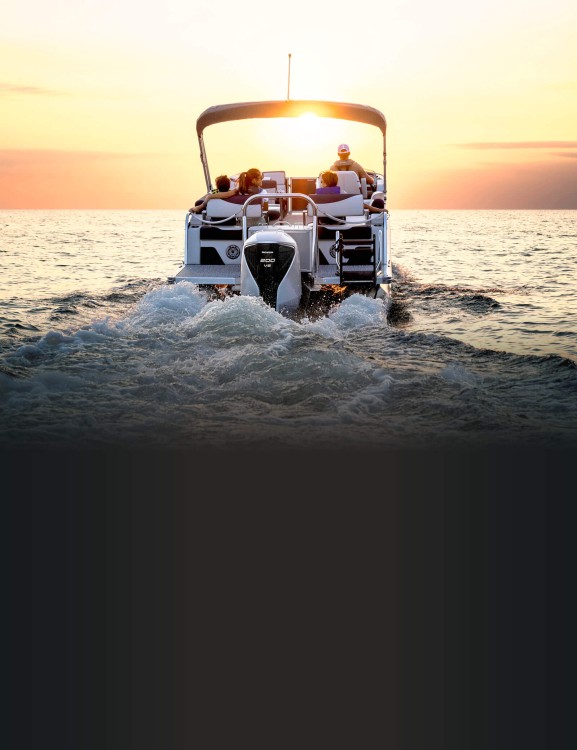 Programmed Fuel Injection (PGM-FI)