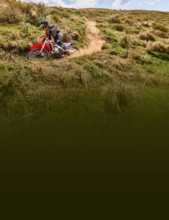 450cc Unicam® Engine