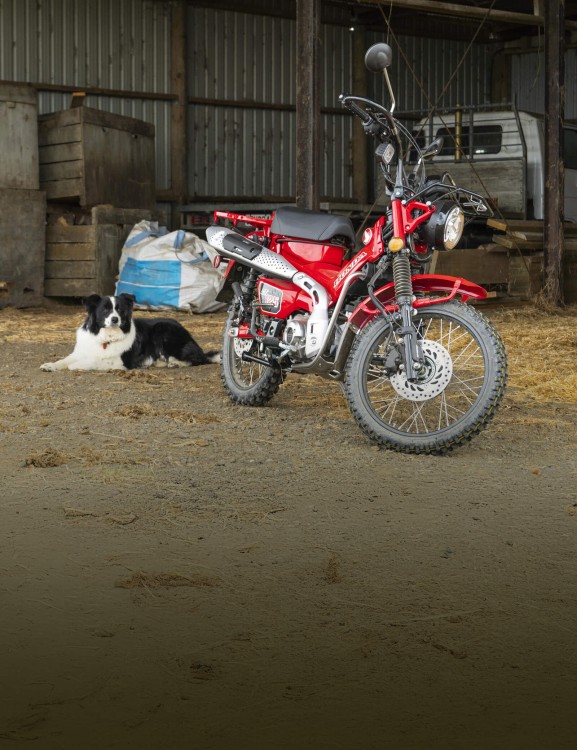 Kitted Out For The Farm