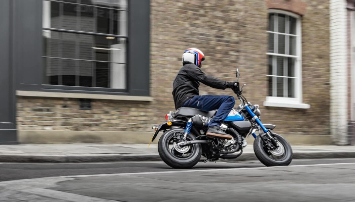 monkey-product-page-zig-zag-img1-1400x800