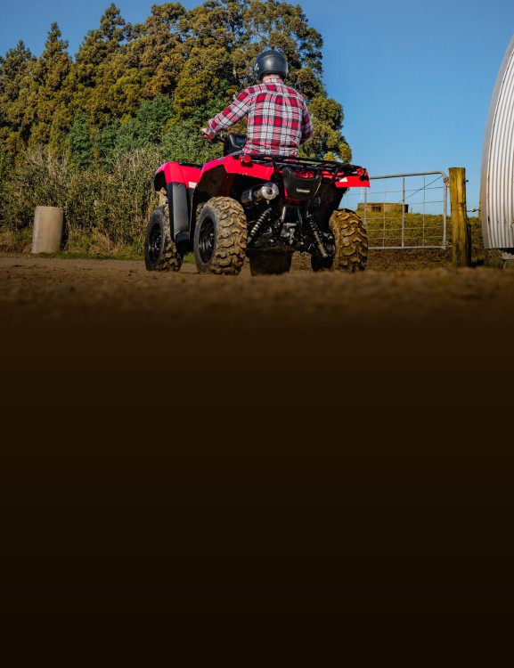 Independent Rear Suspension (IRS) Independent Rear Suspension (IRS)