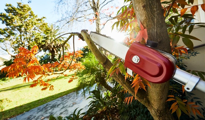 Cut branches down to size