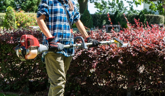 Create perfectly shaped bushes and hedges Create perfectly shaped bushes and hedges